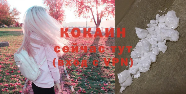 бошки Кукмор