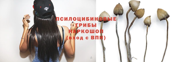 амф Кулебаки