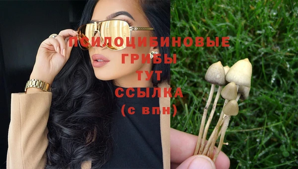 бошки Кукмор