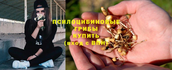 амф Кулебаки