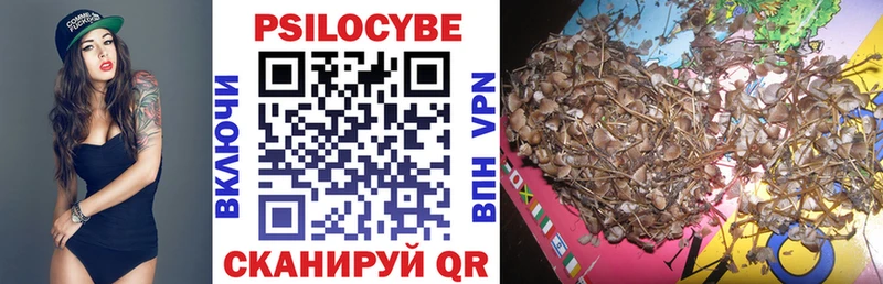 Псилоцибиновые грибы Cubensis Екатеринбург